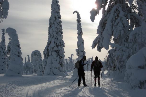 Skitour nördlich des Polarkreises